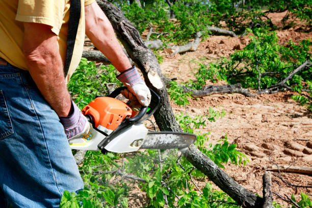Lawn Irrigation Installation and Maintenance in Fair Haven, NY